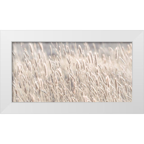 Grass in meadow White Modern Wood Framed Art Print by Frank, Assaf