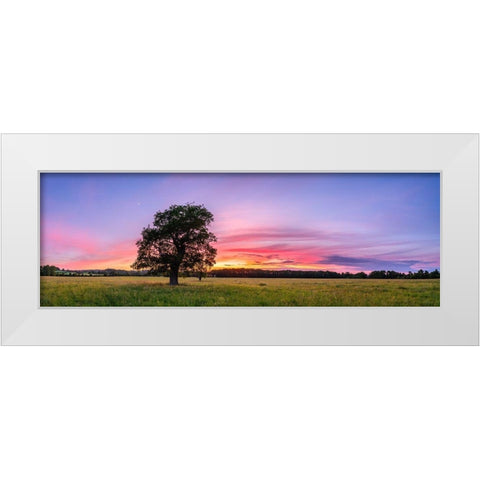 Tree at sunset White Modern Wood Framed Art Print by Frank, Assaf