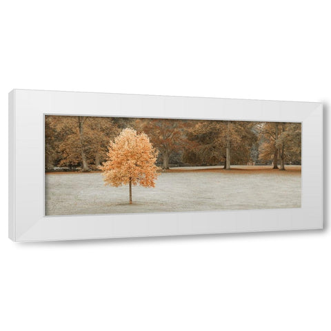 Tree in autumn park White Modern Wood Framed Art Print by Frank, Assaf