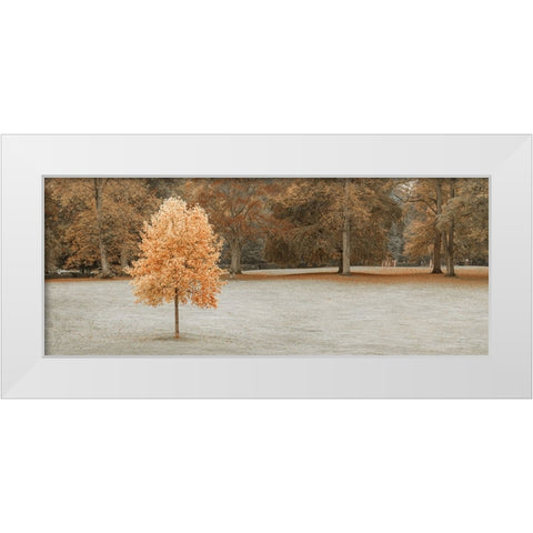 Tree in autumn park White Modern Wood Framed Art Print by Frank, Assaf
