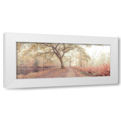Misty forest White Modern Wood Framed Art Print by Frank, Assaf