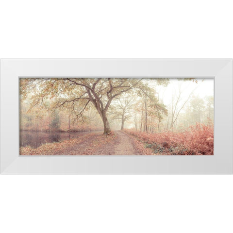 Misty forest White Modern Wood Framed Art Print by Frank, Assaf