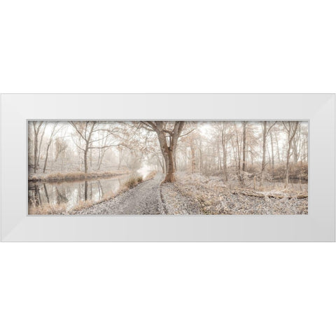 Misty forest White Modern Wood Framed Art Print by Frank, Assaf