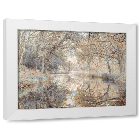 Canal through forest White Modern Wood Framed Art Print by Frank, Assaf