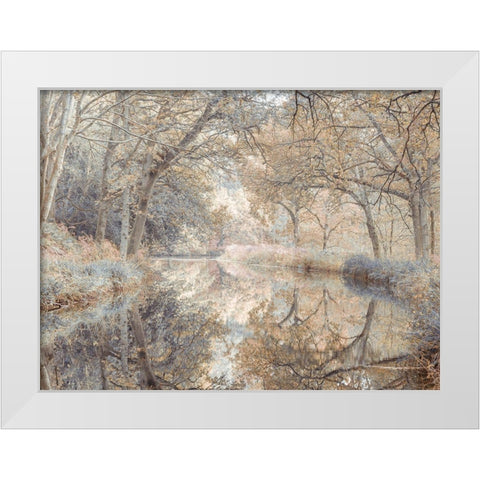 Canal through forest White Modern Wood Framed Art Print by Frank, Assaf
