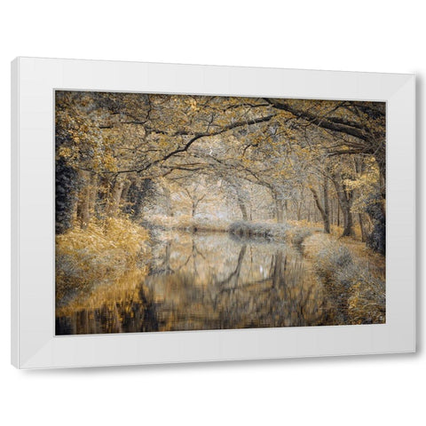 Canal through forest White Modern Wood Framed Art Print by Frank, Assaf
