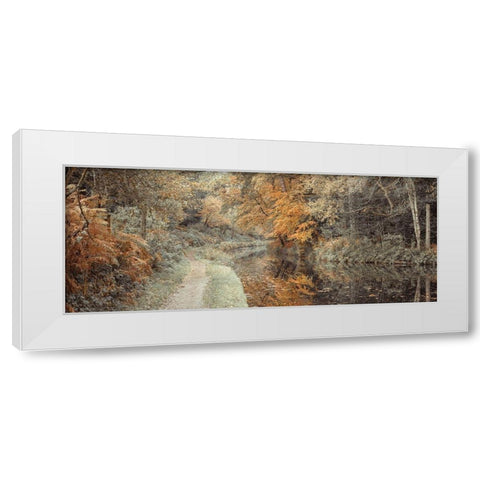 Pathway by canal in Forest White Modern Wood Framed Art Print by Frank, Assaf