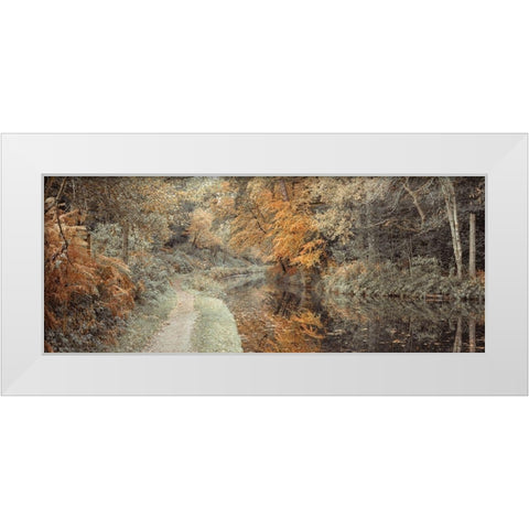 Pathway by canal in Forest White Modern Wood Framed Art Print by Frank, Assaf