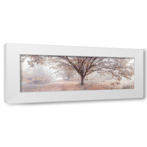 Canal through forest White Modern Wood Framed Art Print by Frank, Assaf