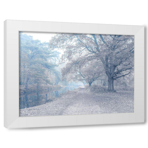 Misty Canal-Autumn White Modern Wood Framed Art Print by Frank, Assaf