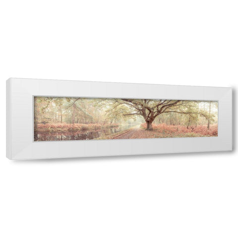 Canal through forest White Modern Wood Framed Art Print by Frank, Assaf