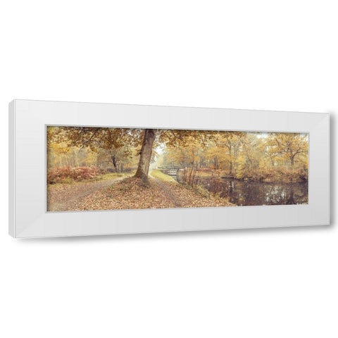 Canal through forest White Modern Wood Framed Art Print by Frank, Assaf