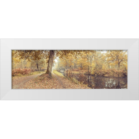Canal through forest White Modern Wood Framed Art Print by Frank, Assaf