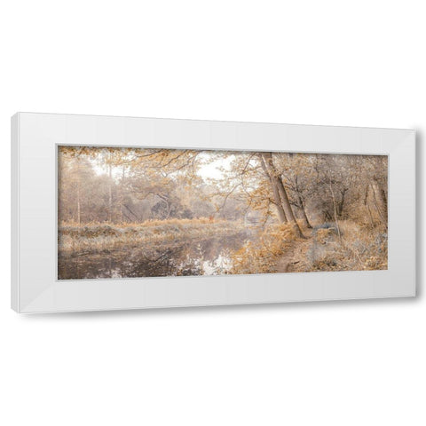 Canal through forest White Modern Wood Framed Art Print by Frank, Assaf