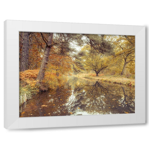 Canal through forest White Modern Wood Framed Art Print by Frank, Assaf