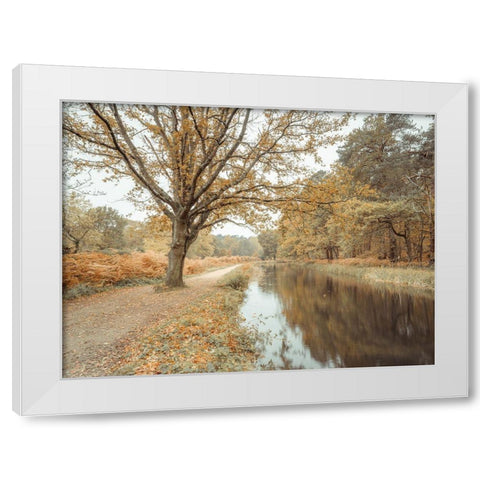 Canal through forest White Modern Wood Framed Art Print by Frank, Assaf