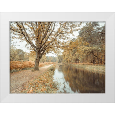 Canal through forest White Modern Wood Framed Art Print by Frank, Assaf