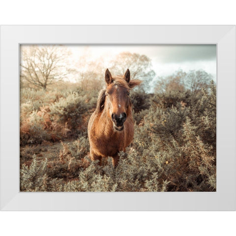 Horse in forest White Modern Wood Framed Art Print by Frank, Assaf
