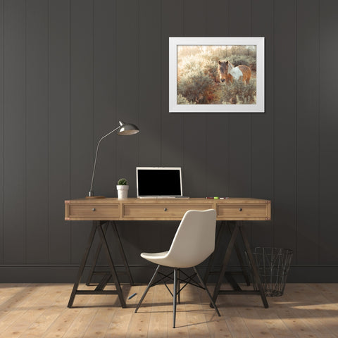 Horse in forest White Modern Wood Framed Art Print by Frank, Assaf