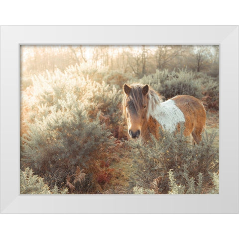 Horse in forest White Modern Wood Framed Art Print by Frank, Assaf