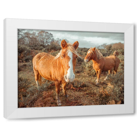 Horses in forest White Modern Wood Framed Art Print by Frank, Assaf