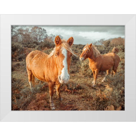Horses in forest White Modern Wood Framed Art Print by Frank, Assaf