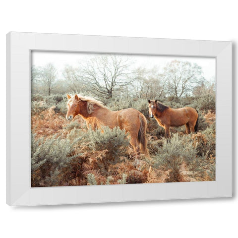 Horses in forest White Modern Wood Framed Art Print by Frank, Assaf