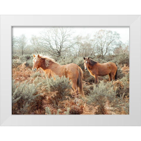 Horses in forest White Modern Wood Framed Art Print by Frank, Assaf