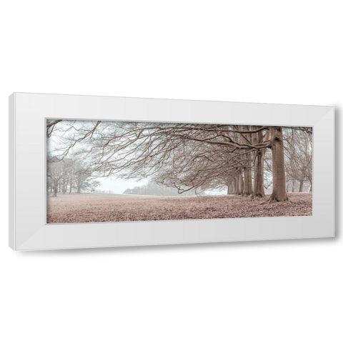 Trees in a row White Modern Wood Framed Art Print by Frank, Assaf