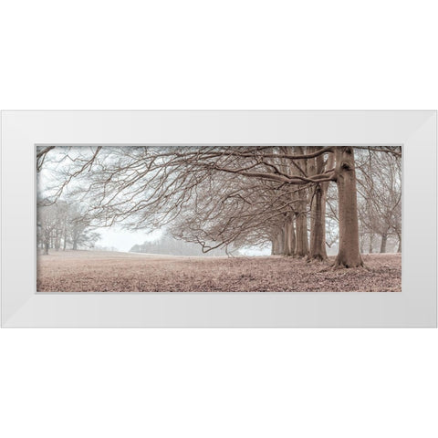 Trees in a row White Modern Wood Framed Art Print by Frank, Assaf