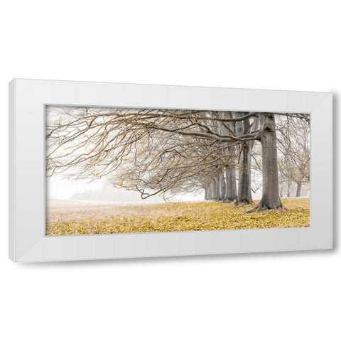 Trees in a row - Yellow White Modern Wood Framed Art Print by Frank, Assaf