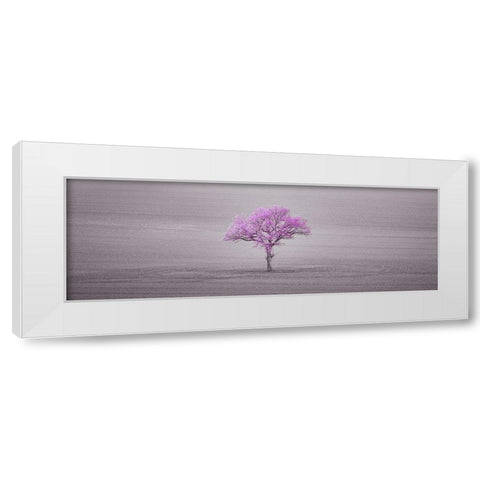 Single tree in foggy field White Modern Wood Framed Art Print by Frank, Assaf