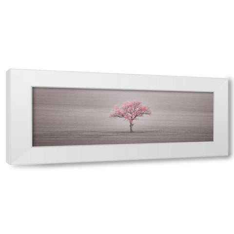 Single tree in foggy field White Modern Wood Framed Art Print by Frank, Assaf