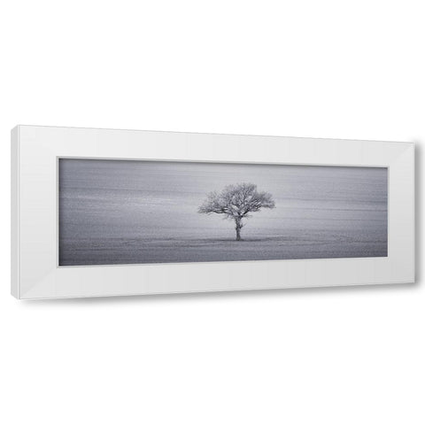 Single tree in foggy grassfield White Modern Wood Framed Art Print by Frank, Assaf