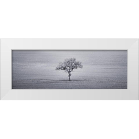 Single tree in foggy grassfield White Modern Wood Framed Art Print by Frank, Assaf