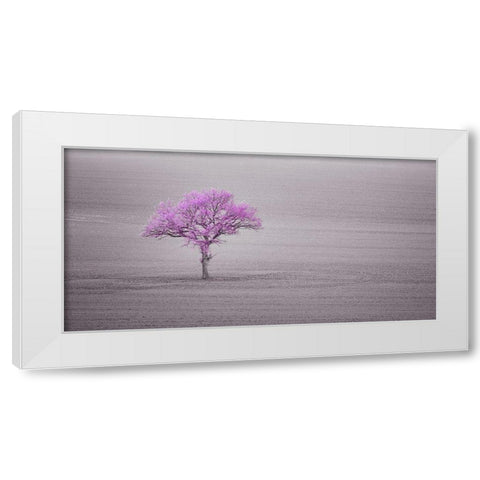 Single tree in foggy grassfield White Modern Wood Framed Art Print by Frank, Assaf