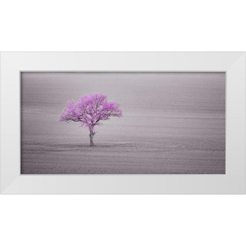 Single tree in foggy grassfield White Modern Wood Framed Art Print by Frank, Assaf