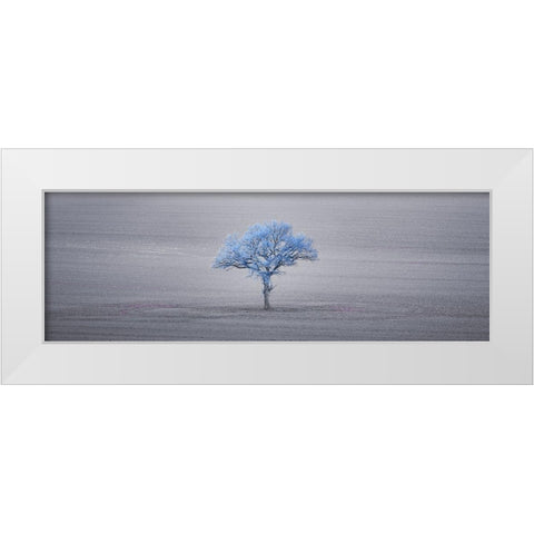 Single tree in foggy grassfield White Modern Wood Framed Art Print by Frank, Assaf