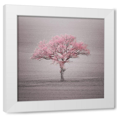 Single tree in foggy grassfield White Modern Wood Framed Art Print by Frank, Assaf