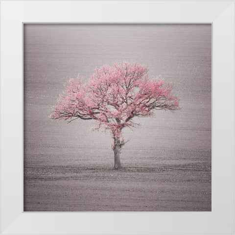 Single tree in foggy grassfield White Modern Wood Framed Art Print by Frank, Assaf