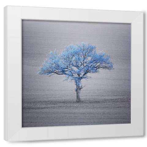 Single tree in foggy grassfield White Modern Wood Framed Art Print by Frank, Assaf