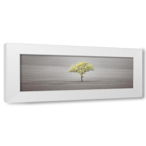 Single tree in foggy field White Modern Wood Framed Art Print by Frank, Assaf