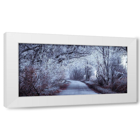 Frosted road through forest White Modern Wood Framed Art Print by Frank, Assaf