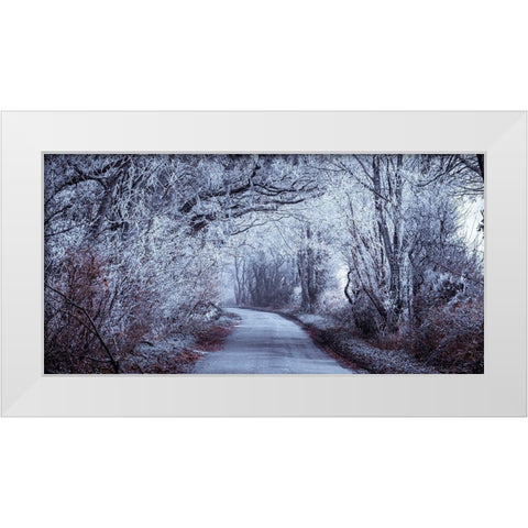 Frosted road through forest White Modern Wood Framed Art Print by Frank, Assaf