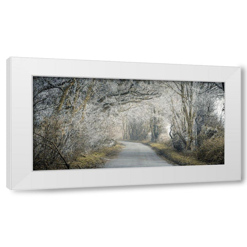 Frosted road through forest White Modern Wood Framed Art Print by Frank, Assaf