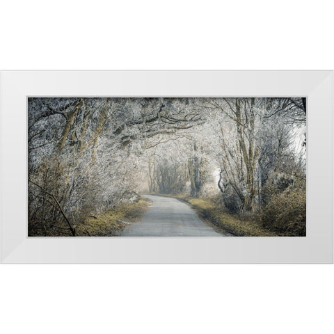 Frosted road through forest White Modern Wood Framed Art Print by Frank, Assaf