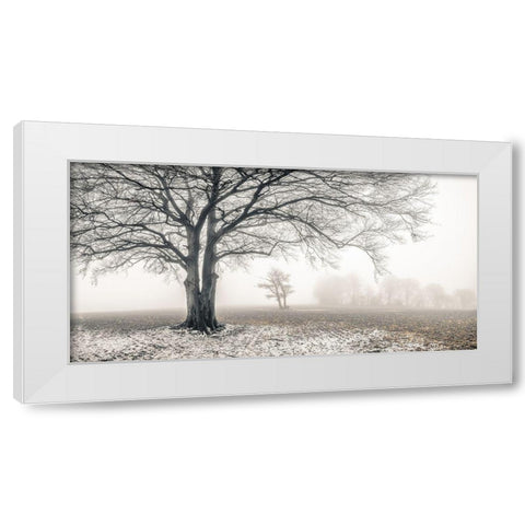 Misty forest White Modern Wood Framed Art Print by Frank, Assaf