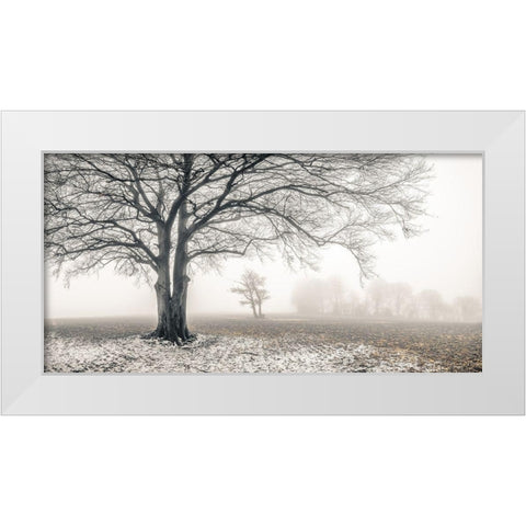 Misty forest White Modern Wood Framed Art Print by Frank, Assaf