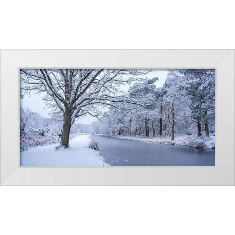 Canal through forest White Modern Wood Framed Art Print by Frank, Assaf