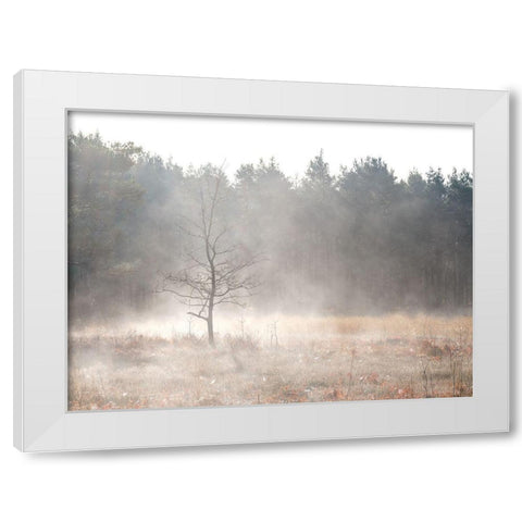 Misty forest White Modern Wood Framed Art Print by Frank, Assaf